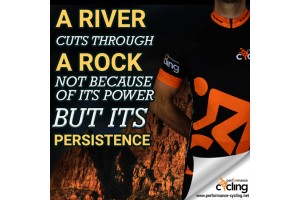 A River cuts through a rock not because of its power, but its persistence